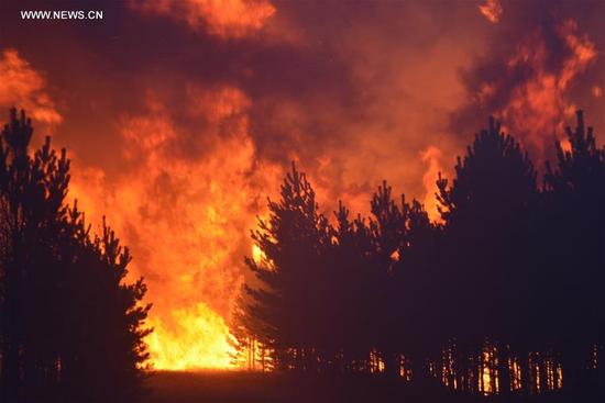 Firefighters try to cease forest fire in North China