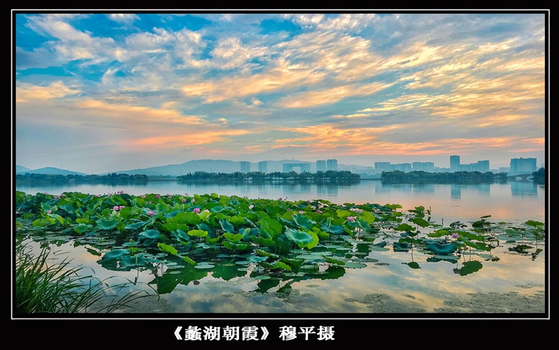 Photo exhibition showcases Wuxi's opening-up