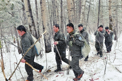 Wildlife getting better treatment in Jilin