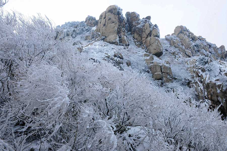 Winter beauty in Zhushan National Park, Qingdao