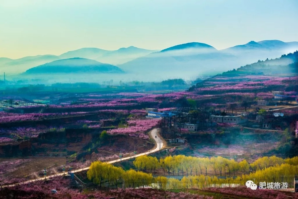 Feicheng Peach Blossom Festival