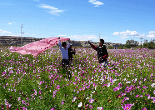 Record numbers visit Karamay over National Day holiday