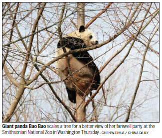 Bao Bao just herself at dumpling farewell