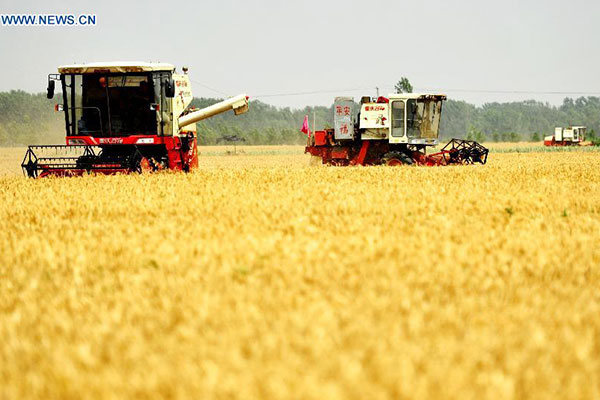 Closer eye on grain subsidies