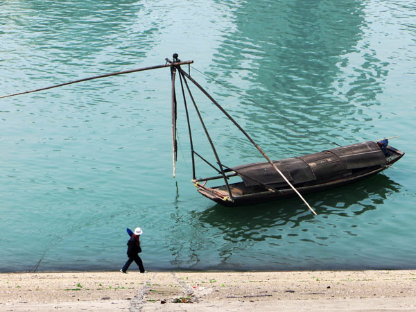 Tackling twin threats to fish in Yangtze