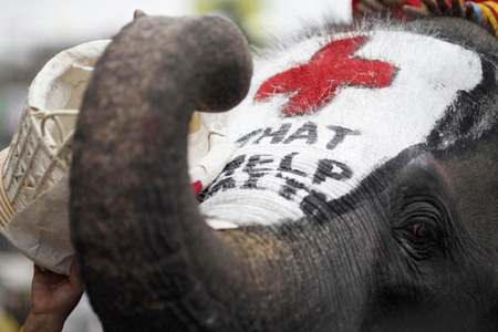 Thai elephants help collect money for Haiti