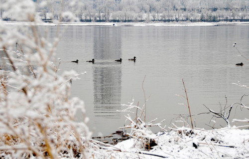 Ice and snow cover much of Jilin