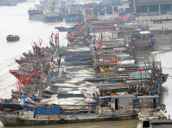 Boats take refuge in port from typhoon Megi