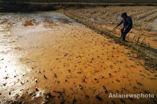 Plant leaves behind polluted farmland