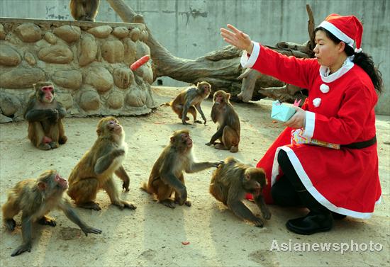 Santa Claus descends on zoo