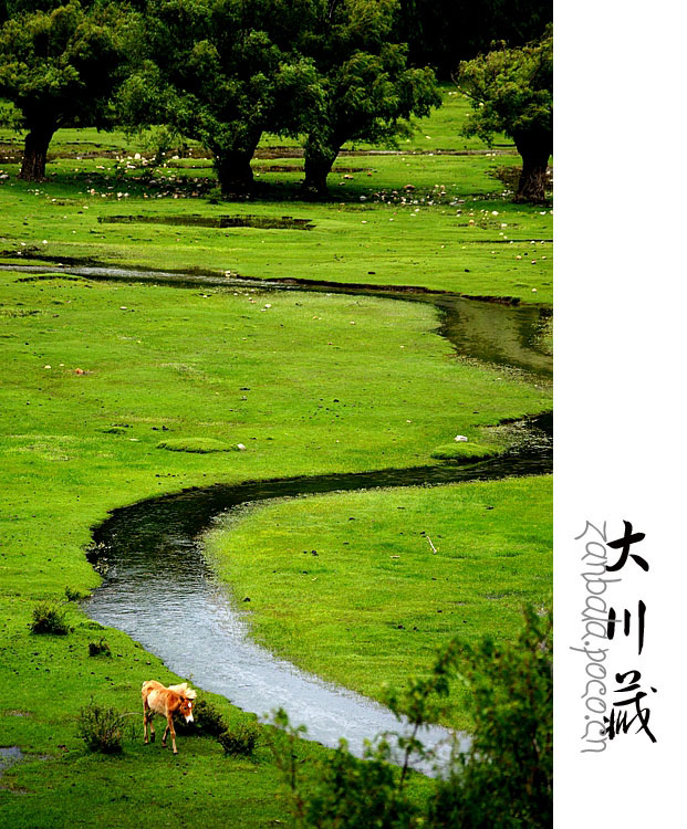 Jambhala: Tibet Buddhism influences photography