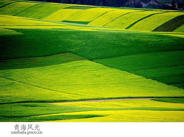 Jambhala: Tibet Buddhism influences photography (Part II)