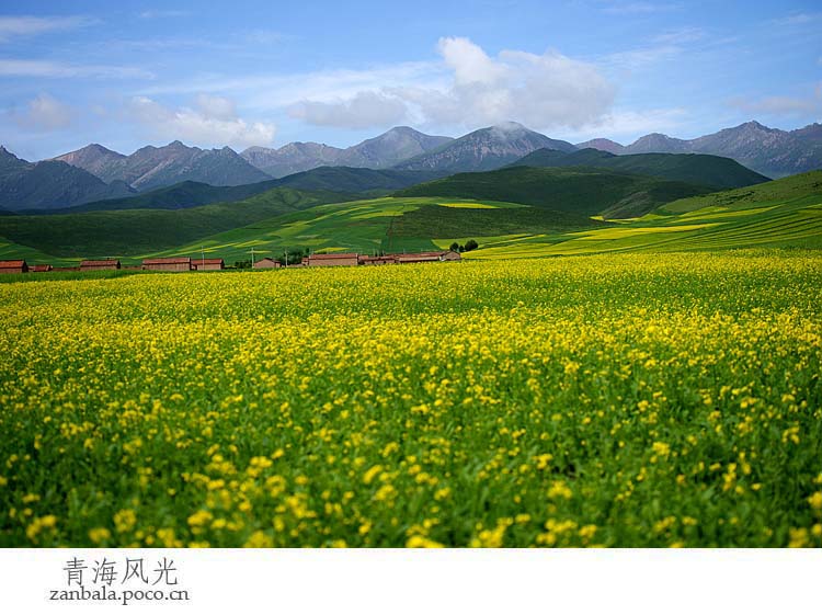 Jambhala: Tibet Buddhism influences photography (Part II)