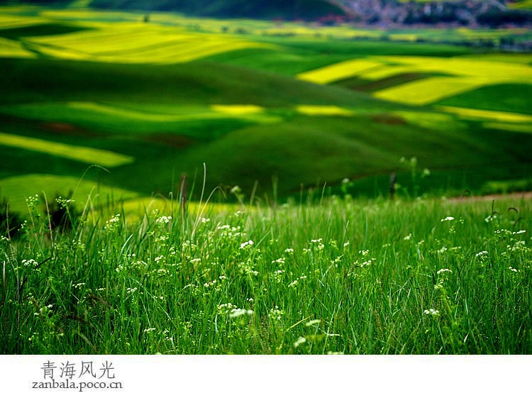 Jambhala: Tibet Buddhism influences photography (Part II)