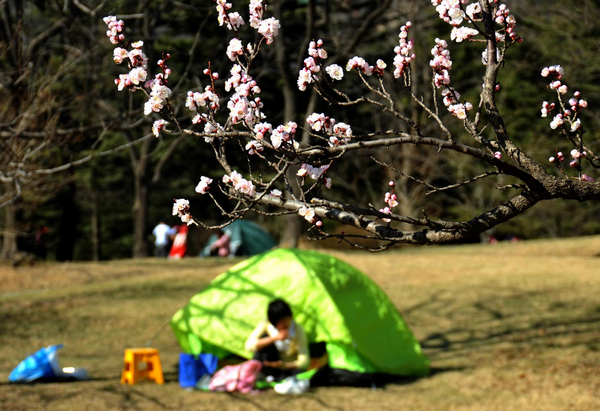 Spring outing in holidays