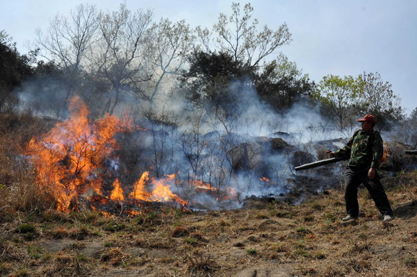 Mountain fire rekindled in E China