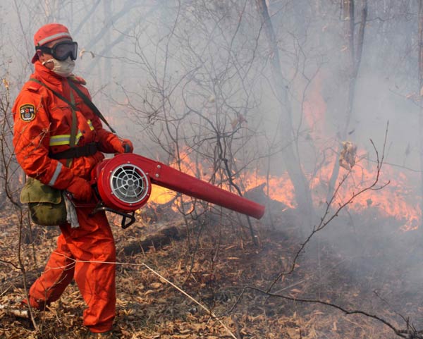 Forest fire in NE China under control