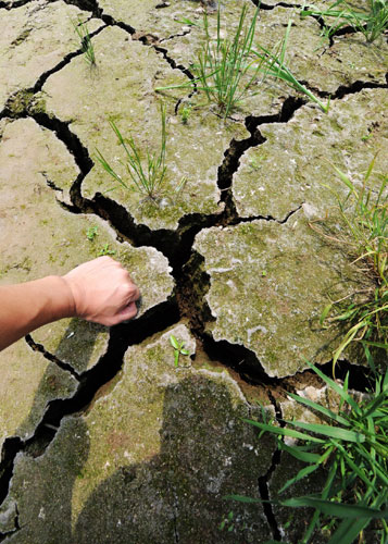 Severe drought lingers in C China