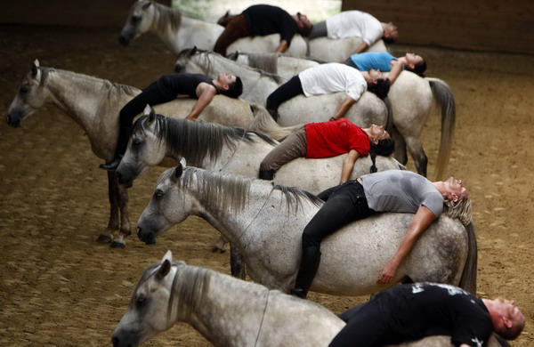 Hungarian equestrians prepare for performance