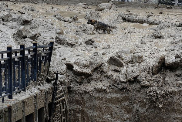 Storms spark landslides in SW China