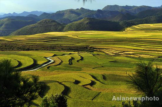 Autumn photos: Focus on fields