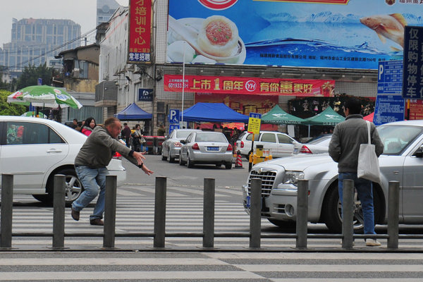 Finnish man stops traffic by force of nature