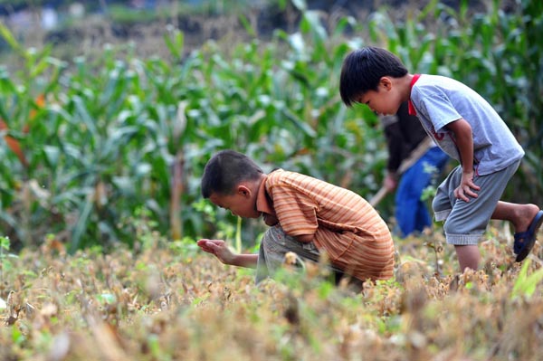 Left behind, children turn to nature