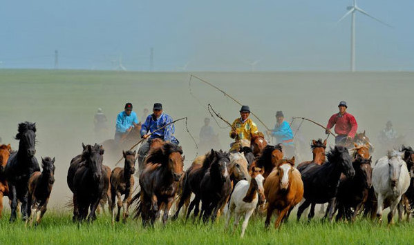 Equestrians demonstrate horse lassoing