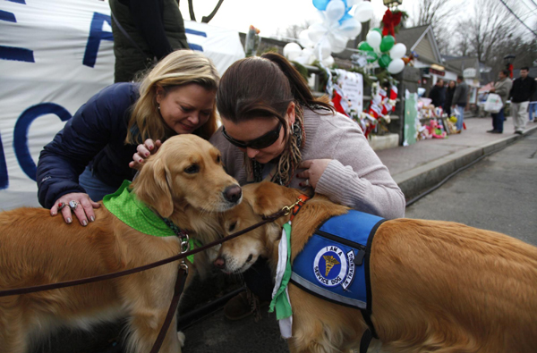 Comfort dogs help ease pain of Newtown