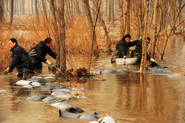 Workers battle to clean chemical spill in N China