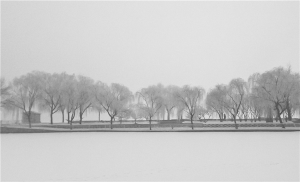 Rimed trees seen in Tianjin