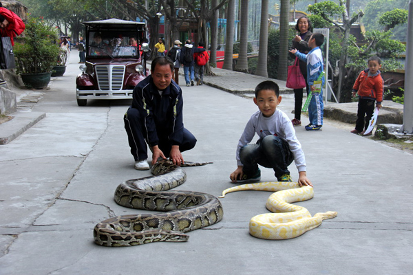 Let your child sleep with 4-meter python?