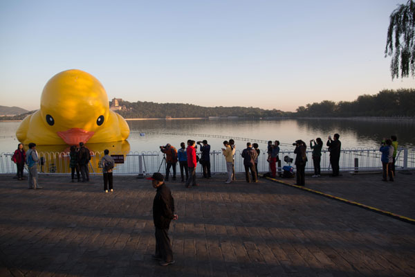 Rubber duck adjusting to spot at Summer Palace