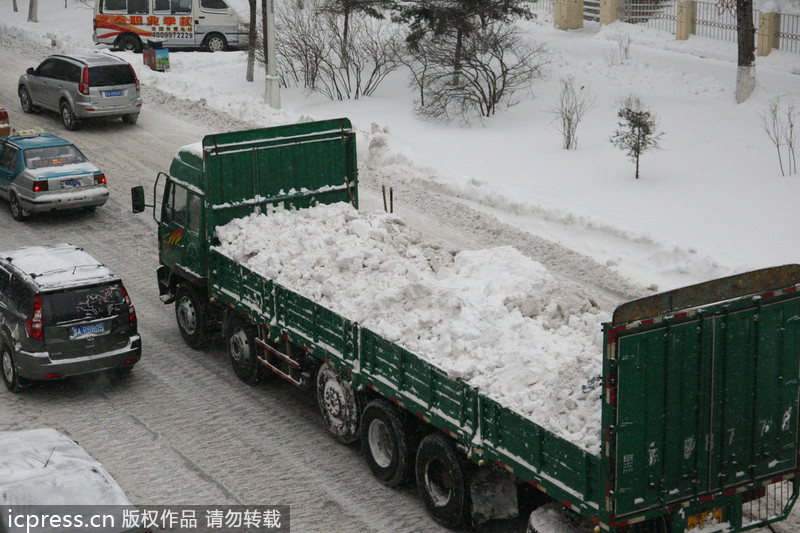 Clean-up begins after blizzard in Harbin