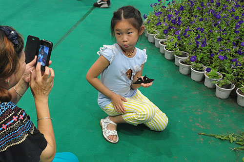 Butterfly and firefly release from Chongqing Expo