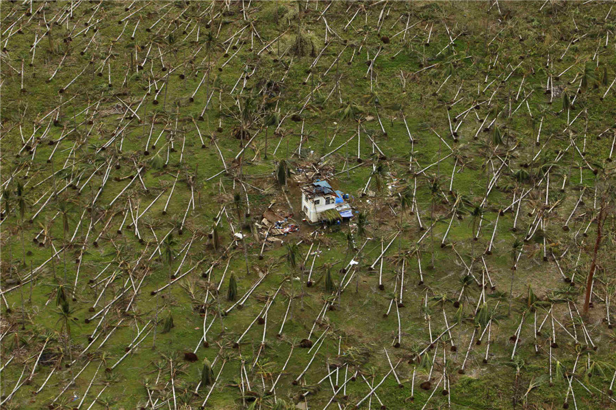 Reuters images of the year 2013 - Disaster