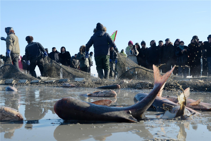 Ice fishing in NE China