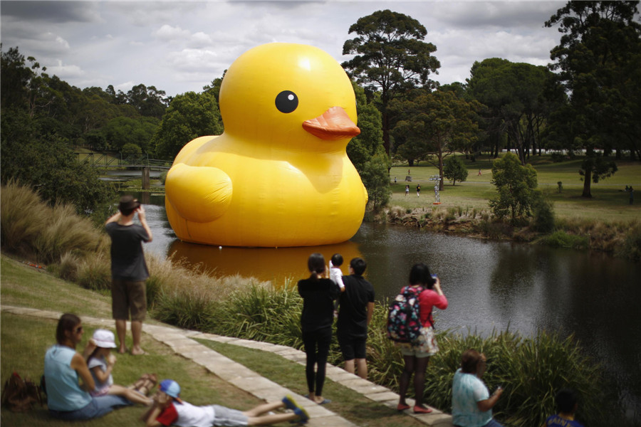 Giant rubber duck sparks Sydney Festival