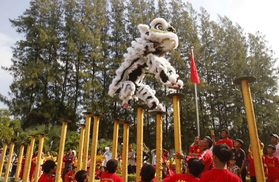 Spring Festival celebrations