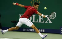 Djokovic excited about being a father