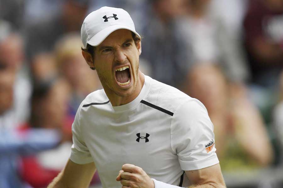 Wimbledon: Federer, Murray reach semi-finals