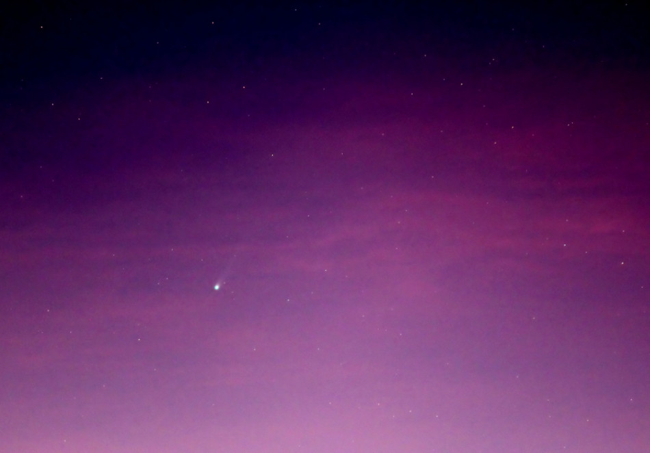 ISON世紀(jì)彗星月底撞日：或揭太陽(yáng)系形成之謎