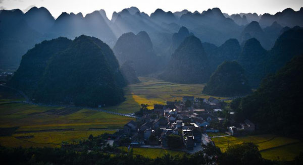 Wan Fenglin Peaks Forest