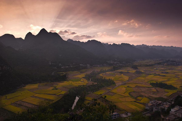 Wan Fenglin Peaks Forest