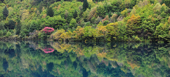 Spilled color palette: Jiuzhai Valley