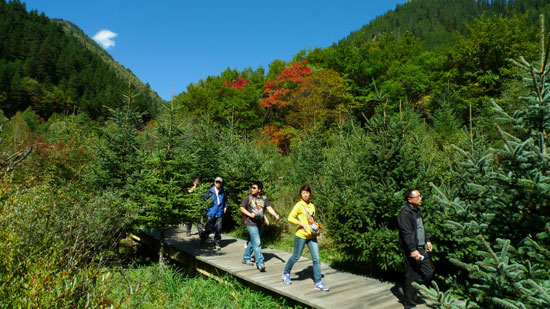 Spilled color palette: Jiuzhai Valley