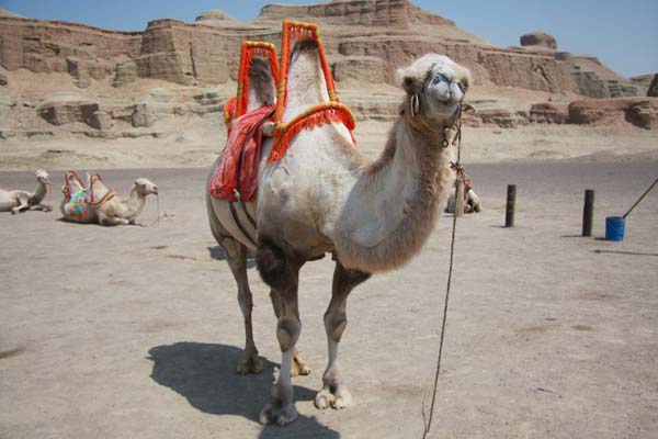 Ghost Town in Xinjiang, Wonders in the Desert