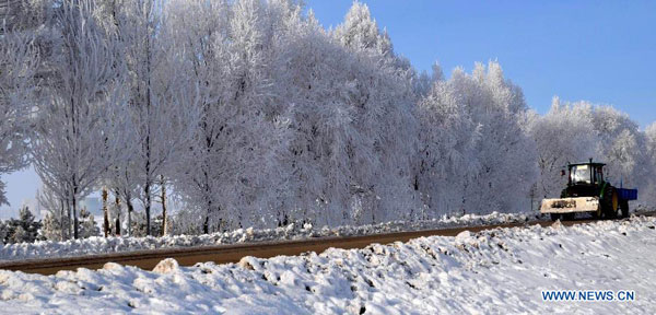 Beautiful rime scenery in NE China's Heilongjiang