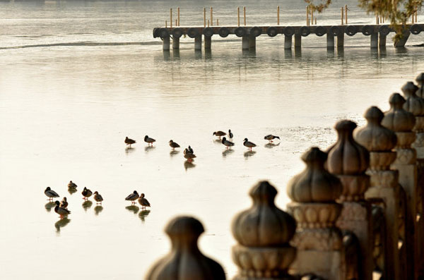 The silent beauty of the Summer Palace in winter