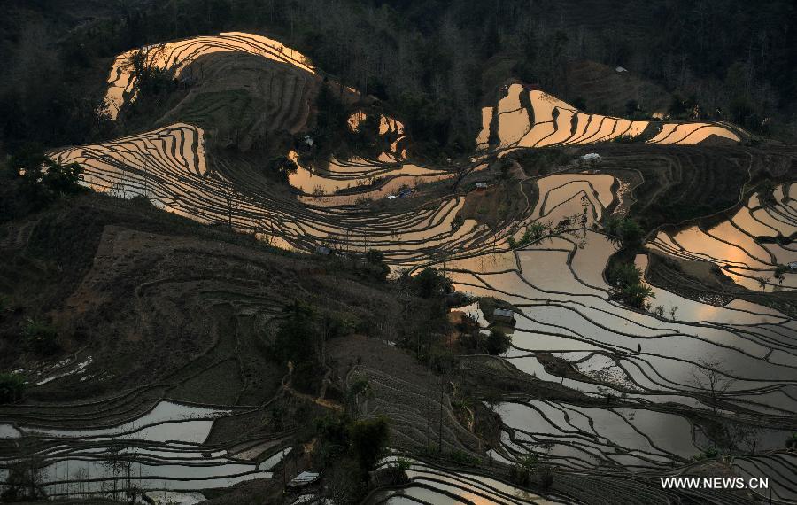 Painting-like scenery of Hani terraced fields in SW China